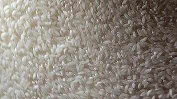 Dry Uncooked White Rice Background Rotating Right - Top View. Scattered Raw Long Grain Rice. Asian Cuisine and Culture. Healthy Eating Ingredients. Diet Food. Angular Rotation Clockwise video