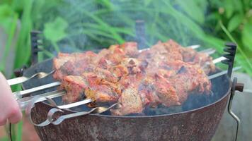 Hot Grilled Kebab Turning on the Mangal in Summer Garden. Delicious Barbecue Meat Grilling on Skewers Against the Green Nature Background. Summer Holiday Picnic Concept - Slow Motion. Middle CloseUp video