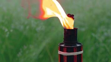 Bamboo Torch Burning in the European Forest. Decorative Tropical Candle Has a Massive Orange Flame Using Oil Fuel or Kerosene. Closeup Static Shot video
