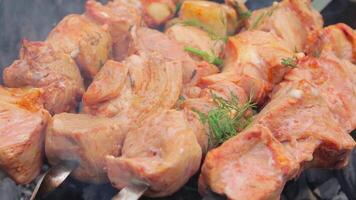 Hot Grilled Kebab Cooking on the Mangal. Tasty Barbecue Meat on Skewers. Summer Holiday Picnic Concept - Slow Motion. CloseUp Shot, Top View video