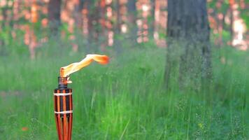 Bamboo Torch Burning in the Forest in Summer in the Daytime. Decorative Tropical Candle Has a Big Orange Flame Using Oil Fuel or Kerosene - Slow Motion. Static Shot video
