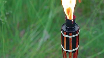 Bamboo Torch Burning in the European Forest. Decorative Tropical Candle Has a Massive Orange Flame Using Oil Fuel or Kerosene. Closeup Static Shot video