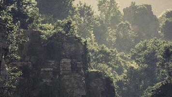 Sunlight filtering through lush greenery in Cambodias mountainous landscape video
