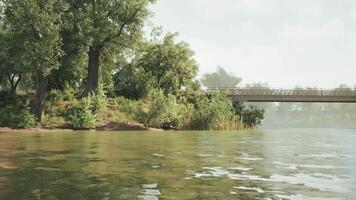 Tranquil riverside view with a bridge and lush greenery during daytime video