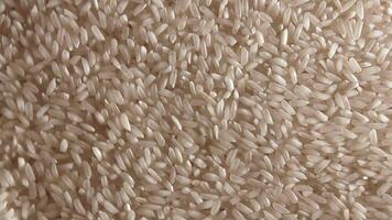 Dry Uncooked White Rice Background Slowly Rotating Right - Top View. Scattered Raw Long Grain Rice. Asian Cuisine and Culture. Healthy Eating Ingredients. Diet Food. Angular Rotation Clockwise video