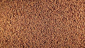 Dry Uncooked Brown Buckwheat Groats, Slowly Rotating Background - Top View, Low Key Light. Raw Large Buckwheat Grains. Russian, Ukrainian and Belarusian Culture. Rotation Left video