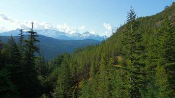 Aerial view of mountains with glaciers near Squamish, British Columbia, Canada. video