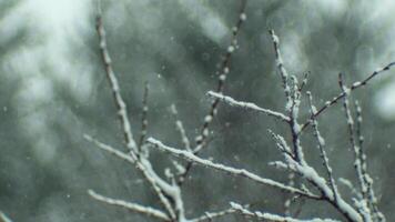 Bokeh snowflake backdrop video