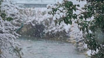 River landscape and spruce tree forest covered by fresh snow during Winter Christmas time video