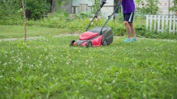 man is working with lawn mower in the yard in the summer. Lawn mower is mowing grass on the plot video