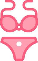 A bikini and a pair of panties vector