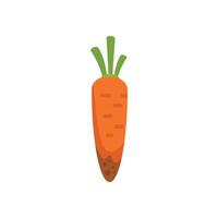 Freshly harvested carrot with green leaves on white background vector