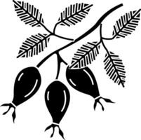 Black and white illustration of a branch with berries vector