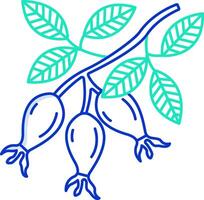 A branch with two berries and leaves vector