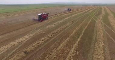 Top-down view of harvesters working in a wheat field video