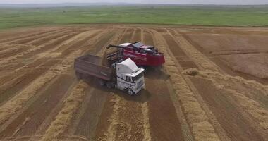 Aerial view of reloading wheat from a combine harvester to a truck video