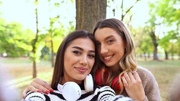 Joyful friends enjoying a sunny autumn day in the park while capturing memories video