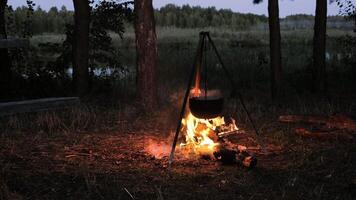 As twilight descends, a campfire blazes, casting warm light on a pot suspended over the flames, nestled in a tranquil forest clearing by the lake. video