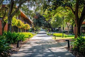 Empty pedestrian walkway leading through lush green university campus photo