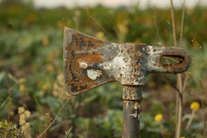 Rusty axe standing in the middle of a field photo