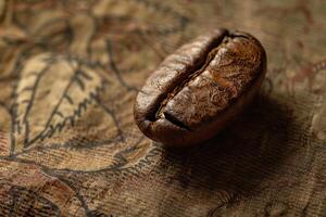 Close up of a coffee bean resting on an antique map photo