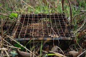 Rusty metal grate lying on grass covered in dirt photo