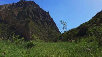 large mountain in font of green grass hill with bush at windy sunny summer day video