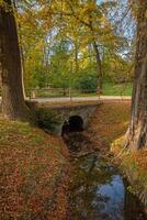 Small river in an autumn park in Prague in the Czech Republic photo