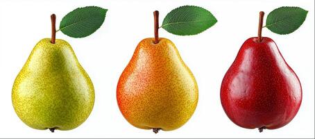 Different types of pear with leaf and water drops isolated on white background, hight detailed upscaled image photo