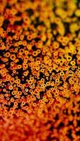 An Abstract Colorful Background Featuring Various Textures and Diverse Patterns Within It. Design video