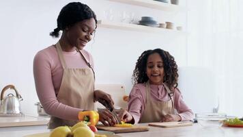Black mother and daughter joyfully prepare a meal together in a well-lit kitchen. The daughter watches as her mother skillfully slices vegetables, creating a delightful moment of bonding. video