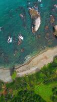 Top view of coast with rocks in water and forest. Clip. Amazing nature of coast with beautiful rocks and clear water. Wild coast with rocks in turquoise water and green forest on sunny day video