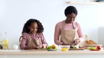 Black young mother and her daughter are happily preparing a meal together in their modern kitchen. They chop vegetables while enjoying their time, creating a joyful atmosphere. video