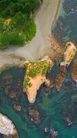 Top view of coast with rocks in water and forest. Clip. Amazing nature of coast with beautiful rocks and clear water. Wild coast with rocks in turquoise water and green forest on sunny day video