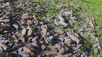 grass between sharp rocks at sunny windy day in mountains video