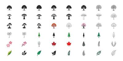 Botanical Illustration Collection Trees Flowers and Leaves vector