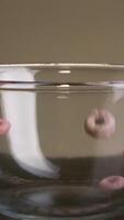 Close-up of multicolored flakes. Stock footage. Delicious sweet rings painted in different colors on isolated background. Sweet flakes in form of multi-colored rings look happy and delicious. Harmful video