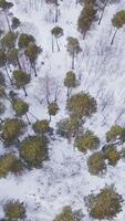 Top view of village surrounded by forest in winter. Action. Country plots with cottages surrounded by wild forest in winter. Small village near the forest on winter day video