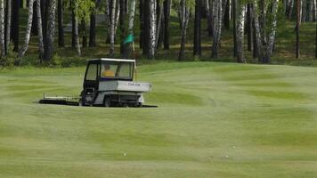 uma golfe curso manutenção veículo é trabalhando em a fairway para manter isto dentro topo condição video