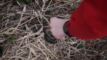 Encountering a majestic Snake in the wonder of Nature can be an aweinspiring experience video