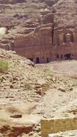 A Breathtaking Scenic View of Petra Featuring a Donkey Gracefully Positioned in the Foreground. Action video