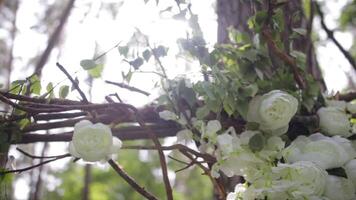 A serene shows white flowers swaying on a tree branch video