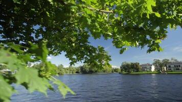 A peaceful showcases a lake with a graceful bridge and trees video