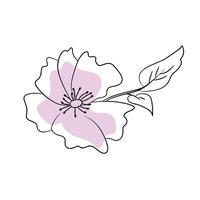 Delicate line drawing of a pink flower with a leaf highlighting simplicity and elegance vector