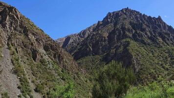 large mountain in font of green grass hill with bush at windy sunny summer day video