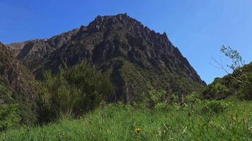 large mountain in font of green grass hill with bush at windy sunny summer day video