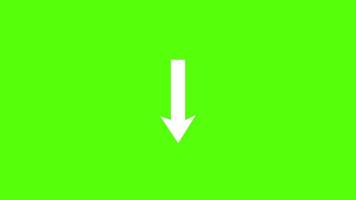 White arrow green screen background animation. With Download sign Arrows loop animated. video