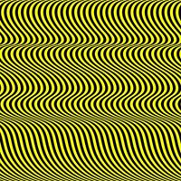 an optical illusion consisting of wavy, curved lines in alternating black and yellow patterns. The lines create a mesmerizing, undulating effect that gives an impression of motion and depth. vector