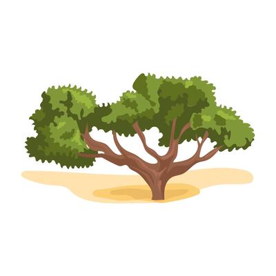 Green tree in desert in flat design. Acacia or other leaf plant at sand. illustration isolated.
