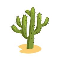 Desert green cactus in flat design. Wilderness tropical succulent with spikes. illustration isolated. vector